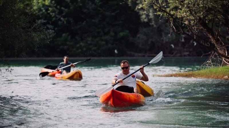 Skadar Lake: Kayak & Paddle board Rental - What you will see on Skadar Lake: birds, reed beds, islands, and water lilies