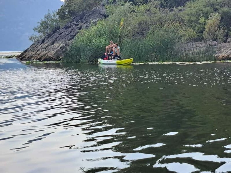 Skadar Lake kayak rent: A Journey Through Tranquility - Paddling Through White Water Lilies: What It Feels Like