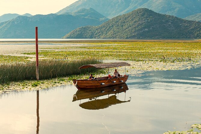 Skadar Lake National Park: Birdwatching & Photography Tour - Skadar Lake National Park Cradle Moments: When the Lake Wakes Up