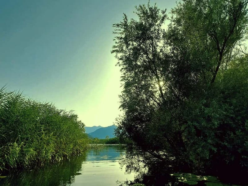 Skadar Lake National Park: Eco-friendly Kayak Adventure - Key things to know before you paddle