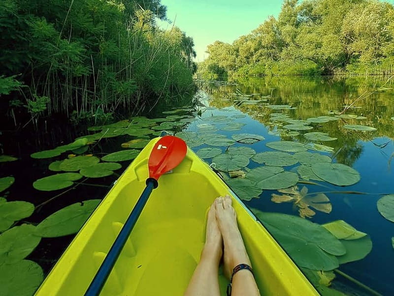 Skadar Lake National Park: Eco-friendly Kayak Adventure - The paddle route: channels, ruins, and bird spotting