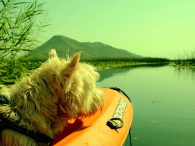 Skadar Lake National Park: Eco-friendly Kayak Adventure