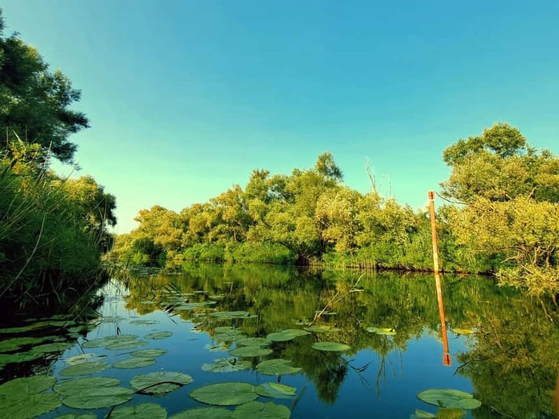Skadar Lake National Park: Eco-friendly Kayak Adventure - Onboard wine, rakija, and appetizers, without turning it into a party