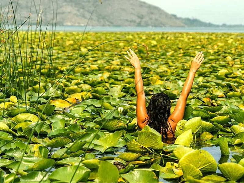 Skadar Lake National Park: Eco-friendly Kayak Adventure - Who this kayak tour suits best, and who should skip it