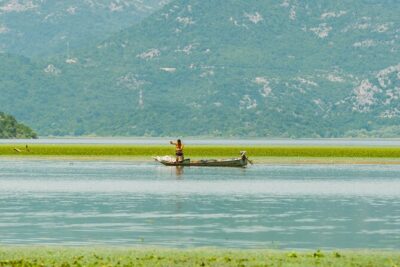 Skadar Lake National Park: Guided Boat Tour with Wooden Boat