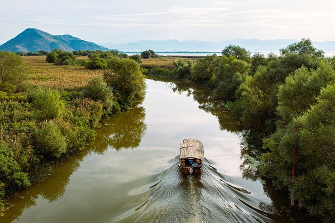 Skadar Lake National Park: Guided Boat Tour with Wooden Boat - The swim stop in Lake Skadar: refreshing, but plan for the logistics