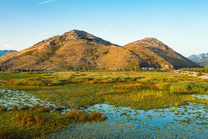 Skadar Lake National Park: Guided Boat Tour with Wooden Boat - Price and value: what you get for about $26 per person