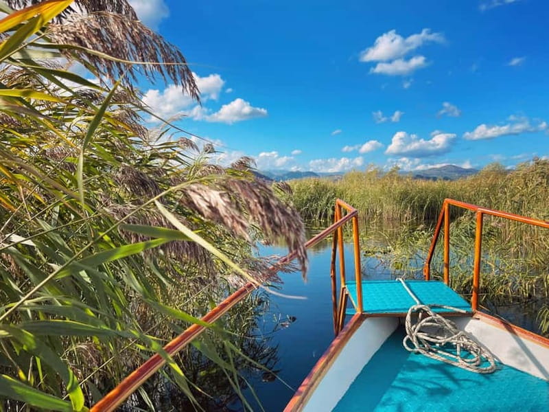 Skadar Lake Nature Cruise with Free Drinks - The 1-hour route: reeds, lotus flowers, islands, and Lesendro
