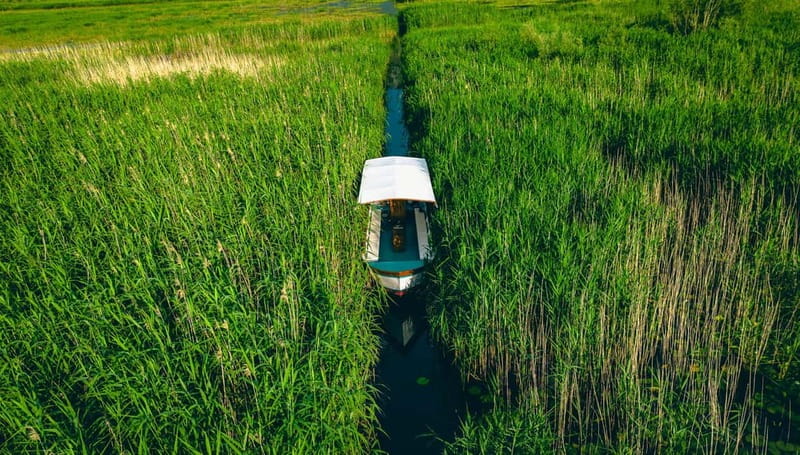 Skadar Lake Virpazar : Speed Boat Special ! - Photo stops and the short swim break near monastery views