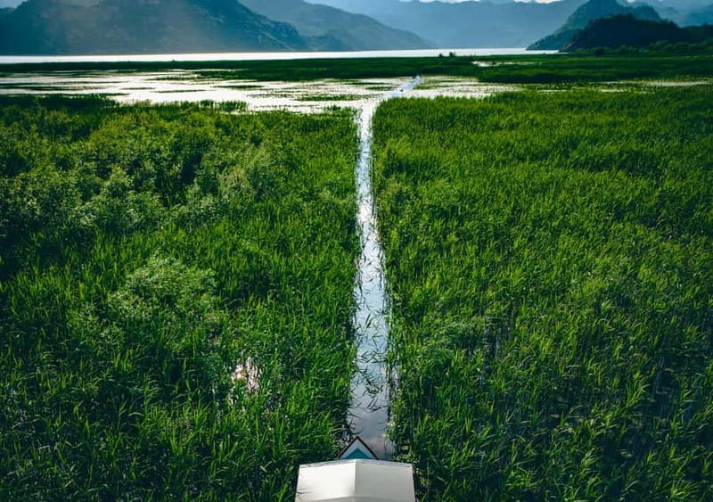 Skadar Lake Virpazar : Speed Boat Special ! - Drinks, birdwatching gear, and the small comforts that add up