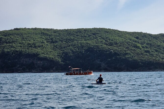 Small group kayaking tour from Budva to Sveti Nikola island caves - Gear, guide support, and what the small-group limit really means