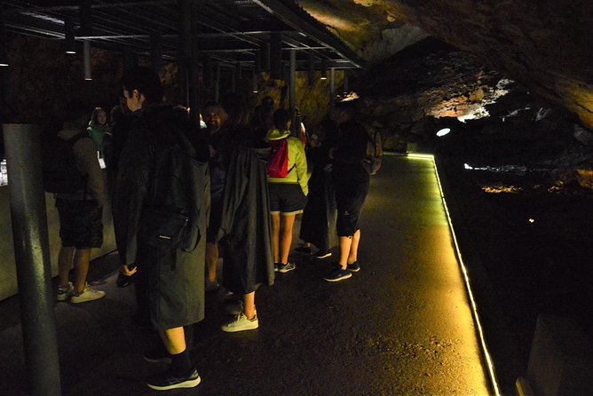 Special Montenegro: Lipa cave - Njegoš's Mausoleum - Njeguši village - Cetinje - Timing and transport from Kotor, how the 7.5 hours plays out