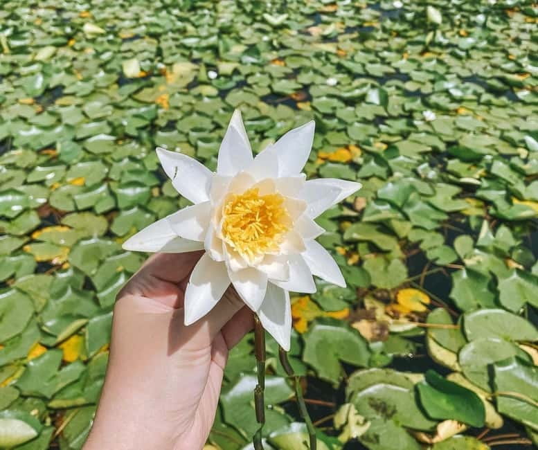 SUNSET/SUNRISE PRIVATE BOAT TOUR ON SKADAR LAKE (2H) - Free swim time and included drinks, what you actually get