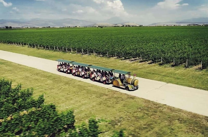 The largest winery in Montenegro: private tour & transport - Plantaže and Šipčanik, the easy win near Podgorica