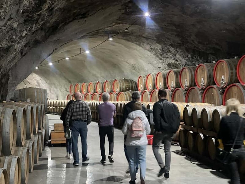The largest winery in Montenegro: private tour & transport - Who this private Plantaže tour fits best