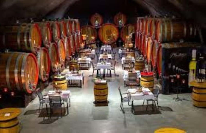 The largest winery in Montenegro: private tour & transport - Practical tips to enjoy the tasting more
