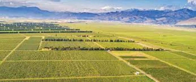 The largest winery in Montenegro: private tour & transport - Getting picked up in Podgorica without turning your day into logistics