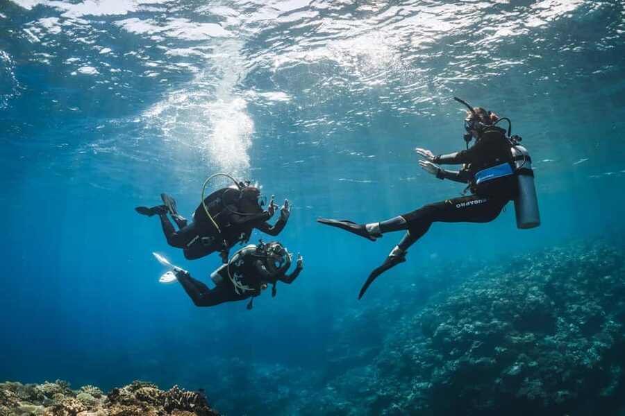 Try Scuba Diving from Boat in Budva - Budva Diving Center - Key Things I’d Bet On