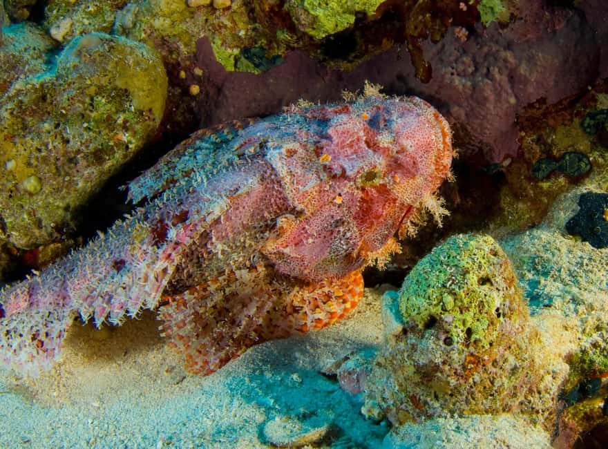 Try Scuba Diving from Boat in Budva - Budva Diving Center - Boat Comfort and Practical Details You’ll Thank Yourself For