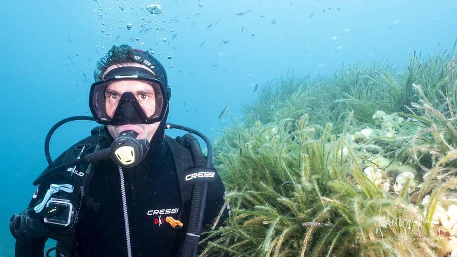 Try Scuba Diving from Boat in Budva - Budva Diving Center - Price in Perspective: Is $82 Good Value?