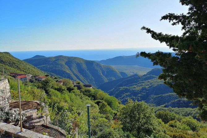 Unique gastro experience with locals in high hills above Budva! - Hilltop Gastro Day Above Budva, Where the Views Drive the Appetite