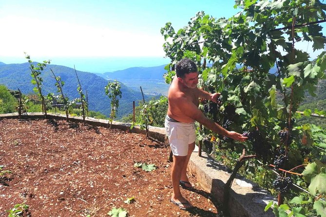 Unique gastro experience with locals in high hills above Budva! - Kosmač Fortress for the Budva Bay Photo Stop