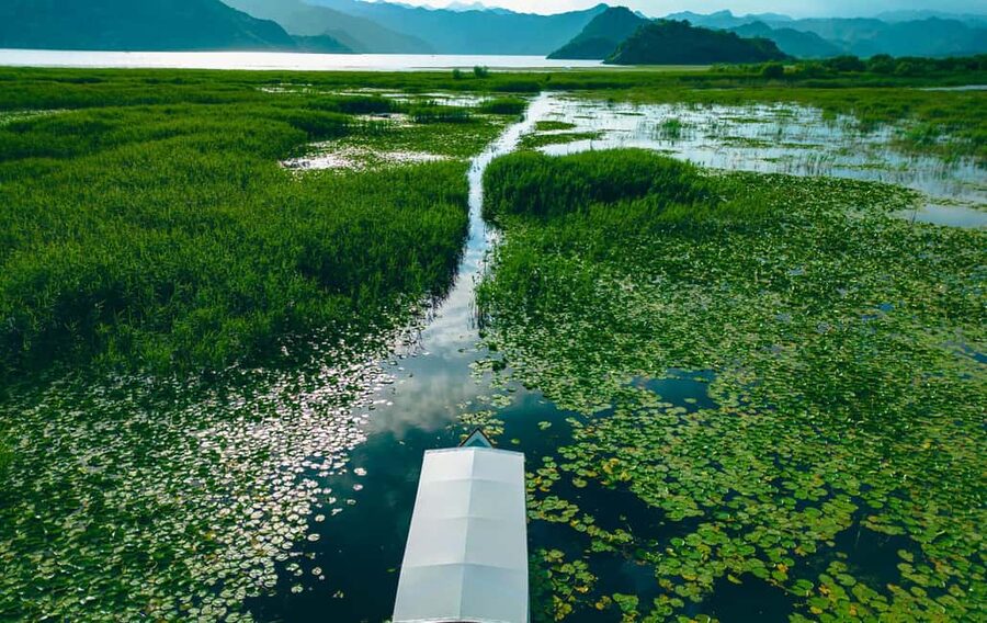 Virpazar: Private & Group Guided Lake Skadar Boat Tour - Fort Lesendro viewpoints: quick history beats long lectures