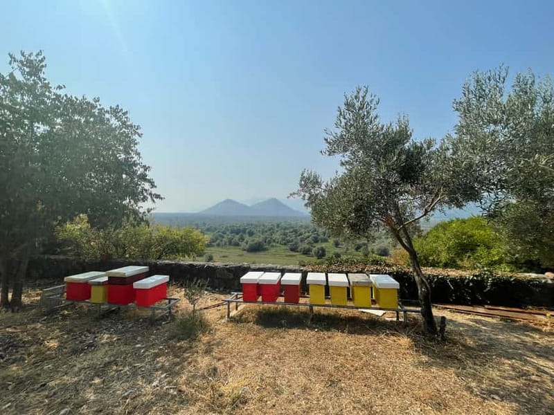 Virpazar: Skadar Lake by Boat and Kom Monastery Guided Tour - Kom Monastery on Kom island: a short walk with big lake views