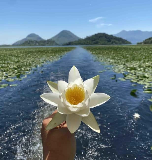 Virpazar: Skadar Lake National Park Guided Boat Tour - Why Skadar Lake by boat feels different from land views