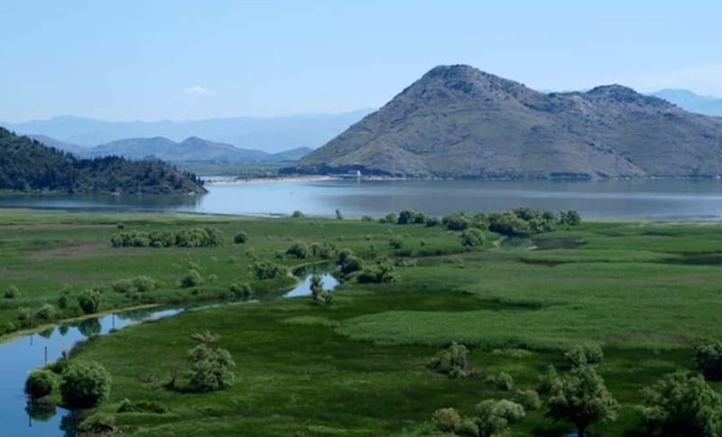 Virpazar: Skadar Lake National Park Guided Boat Tour - Water lilies, floating plants, and the three-island route (Mala and Velika Cakovica, plus Kamenik)