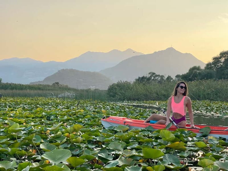 Virpazar: Skadar Lake Nature Kayak Tour - Lunch stops near beaches or before the main bridge