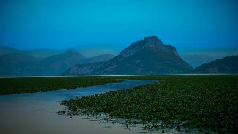 Virpazar: Skadar Lake PRIVATE Boat Tour to KOM MONASTERY - Fort Lesendro and Kamenik: short stops with real wildlife potential