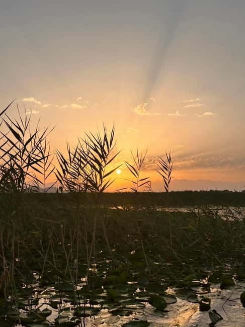 Virpazar - Skadar Lake: sunrise and sunset cruise - Vranjina stop: the cruise’s “big island” moment